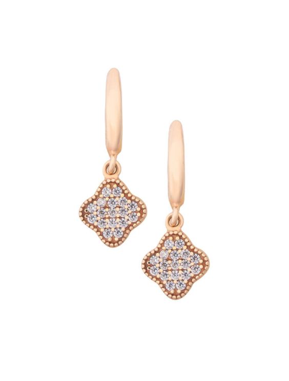 Luxury Gold Earrings (Demo)